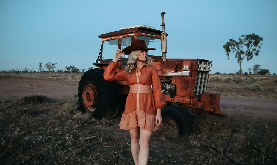 Rust 2 tone dress